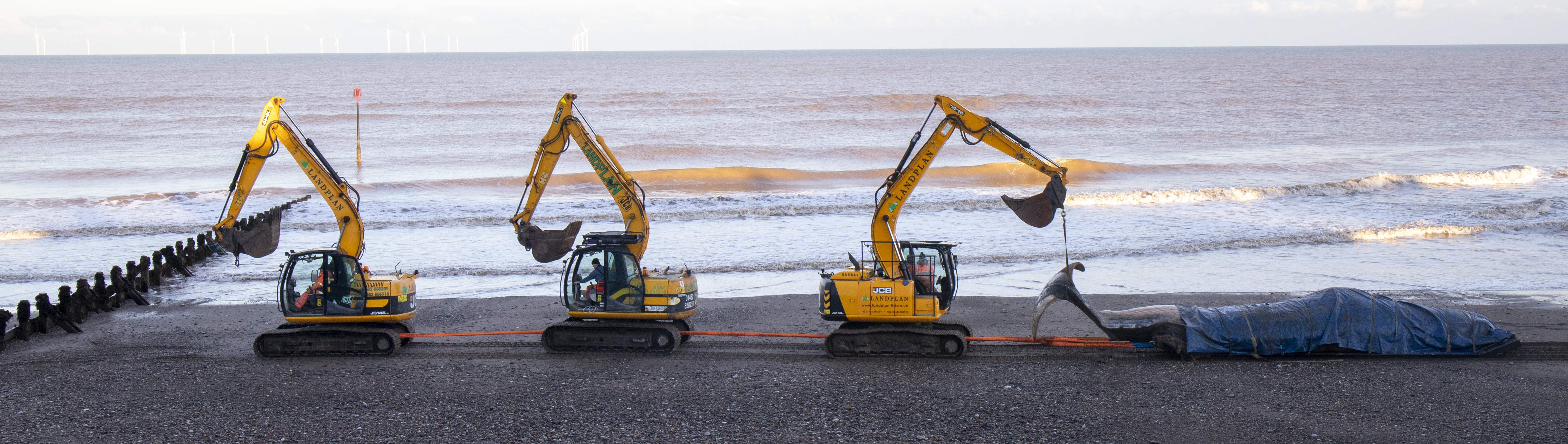 Landplan Landscaping Hull